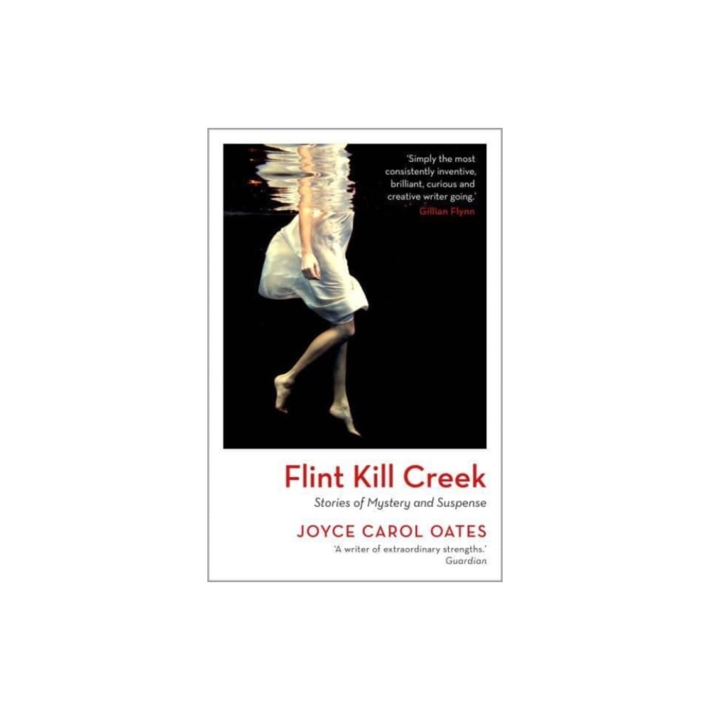 Produktbild för Flint Kill Creek (häftad, eng)