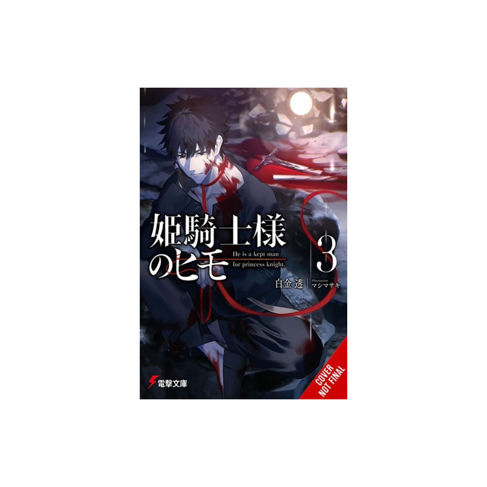 Produktbild för The Kept Man of the Princess Knight, Vol. 3 (häftad, eng)