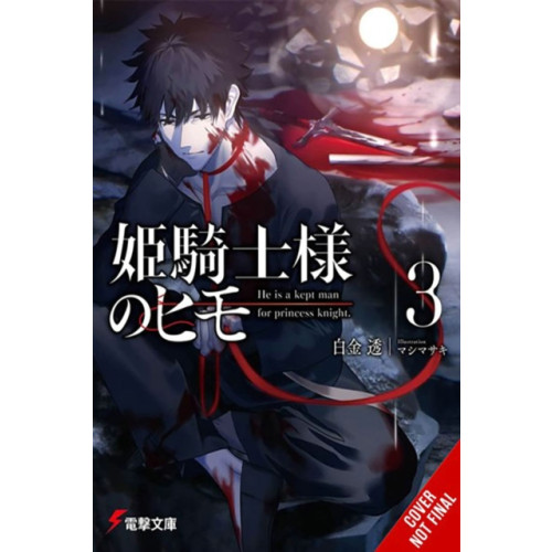 Little, Brown & Company The Kept Man of the Princess Knight, Vol. 3 (häftad, eng)