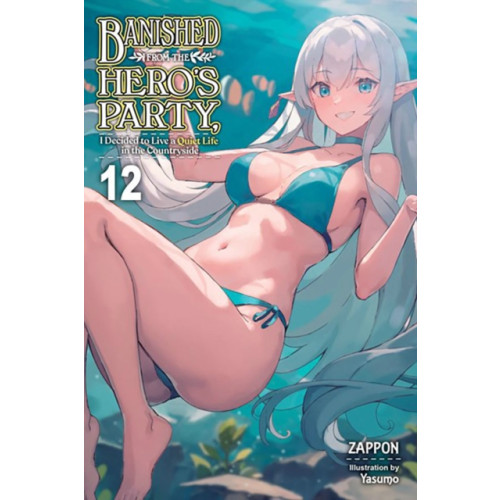 Little, Brown & Company Banished from the Hero's Party, I Decided to Live a Quiet Life in the Countryside, Vol. 12 (light novel) (häftad, eng)