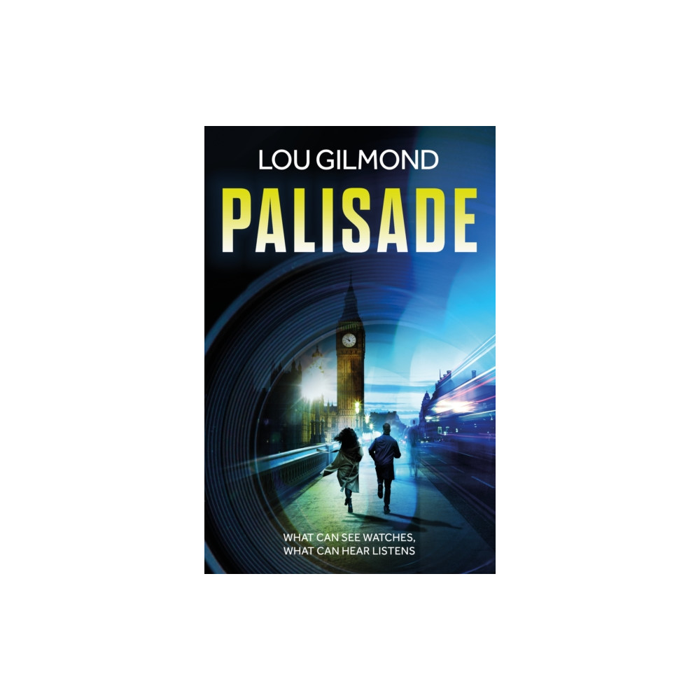 Produktbild för Palisade (häftad, eng)