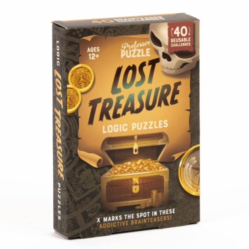 Professor Puzzle Lost Treasure Logic Puzzles