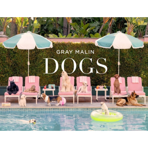 Abrams Gray Malin: Dogs (inbunden, eng)