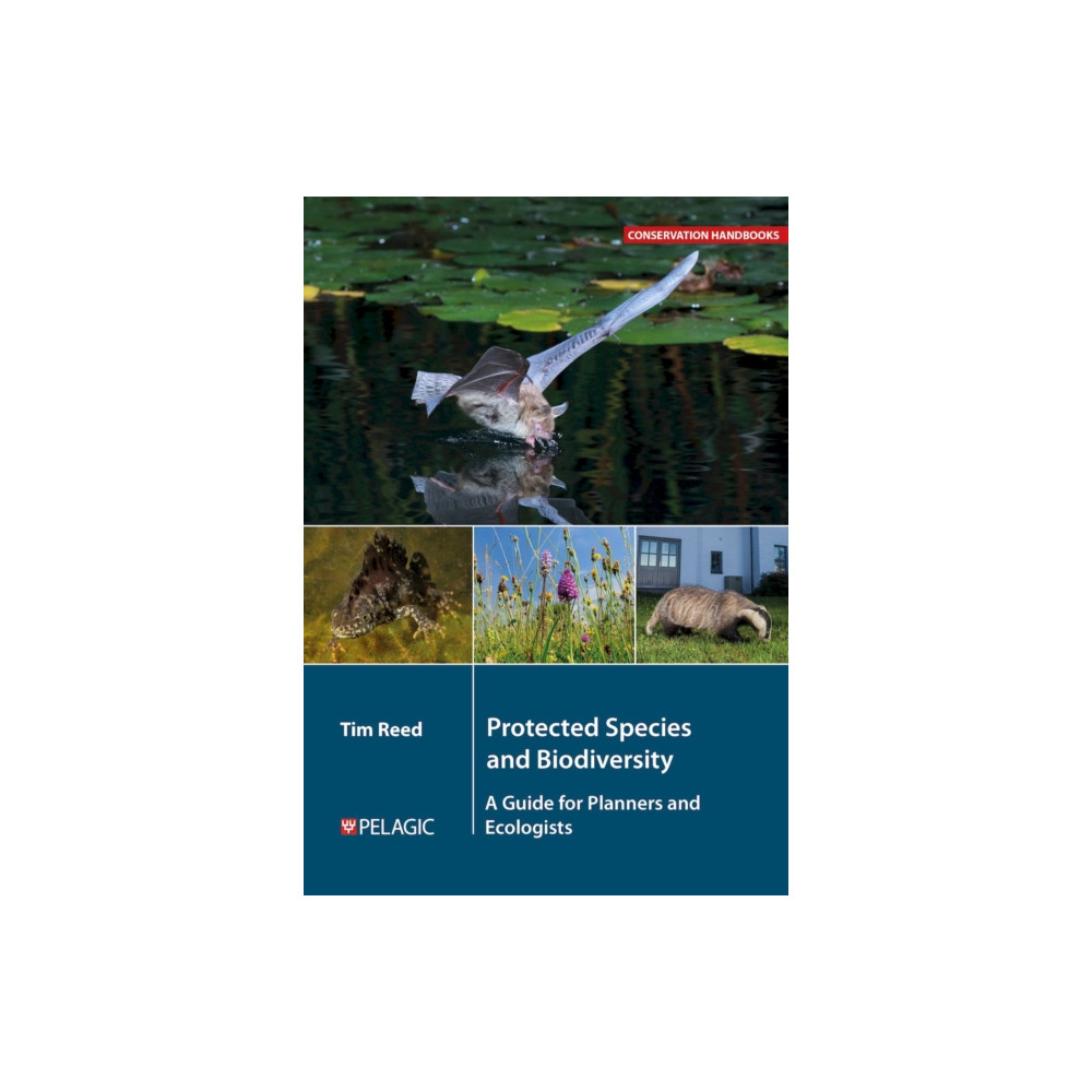 Produktbild för Protected Species and Biodiversity (häftad, eng)