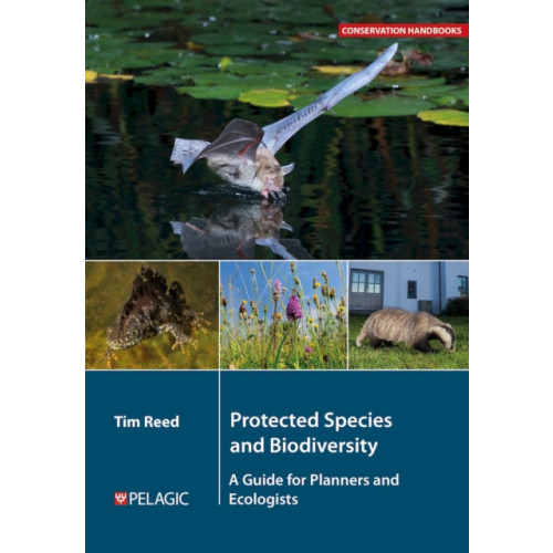 Pelagic Publishing Protected Species and Biodiversity (häftad, eng)