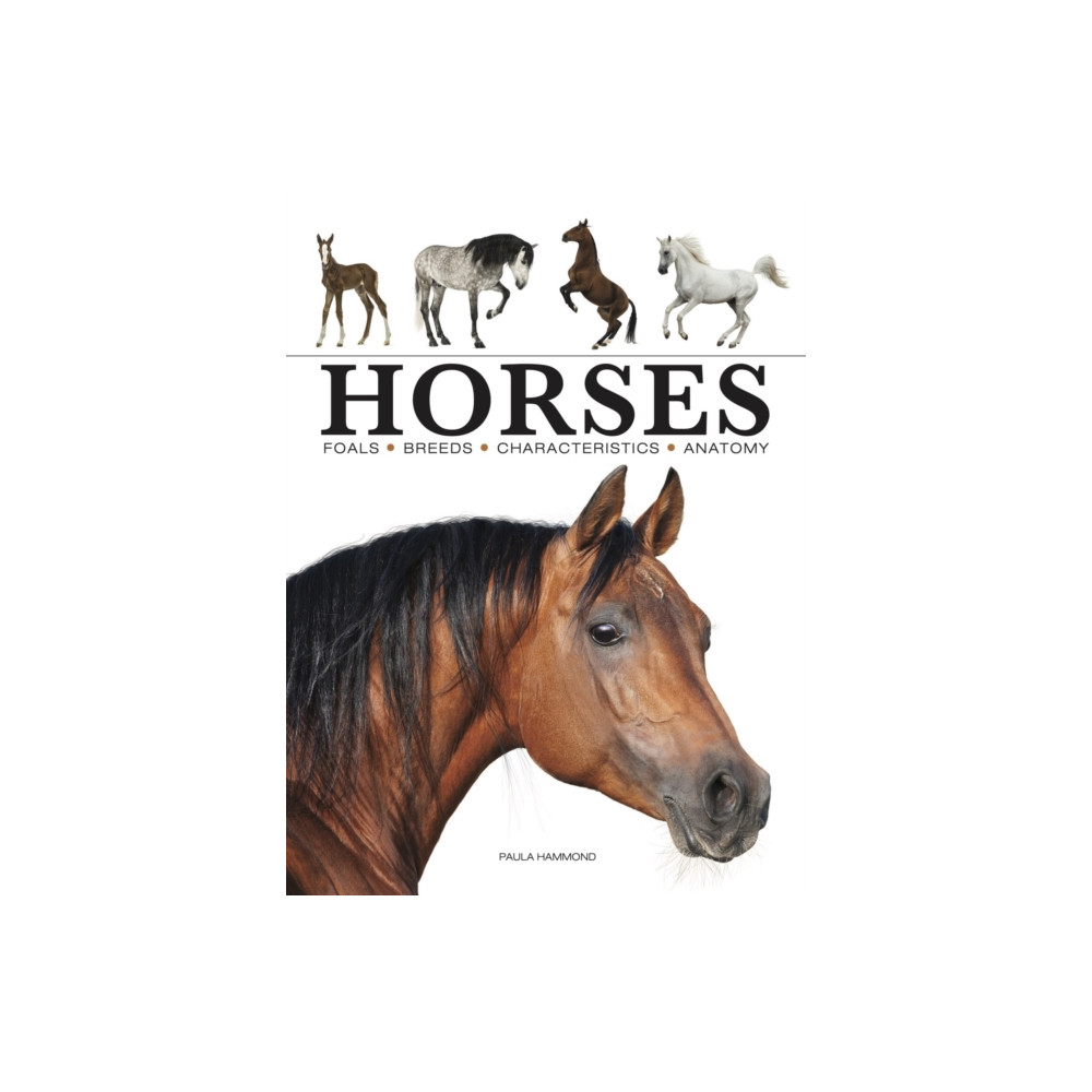 Produktbild för Horses (häftad, eng)