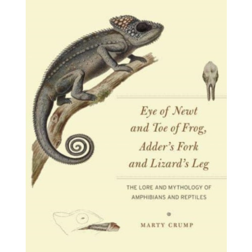 The university of chicago press Eye of Newt and Toe of Frog, Adder's Fork and Lizard's Leg (häftad, eng)