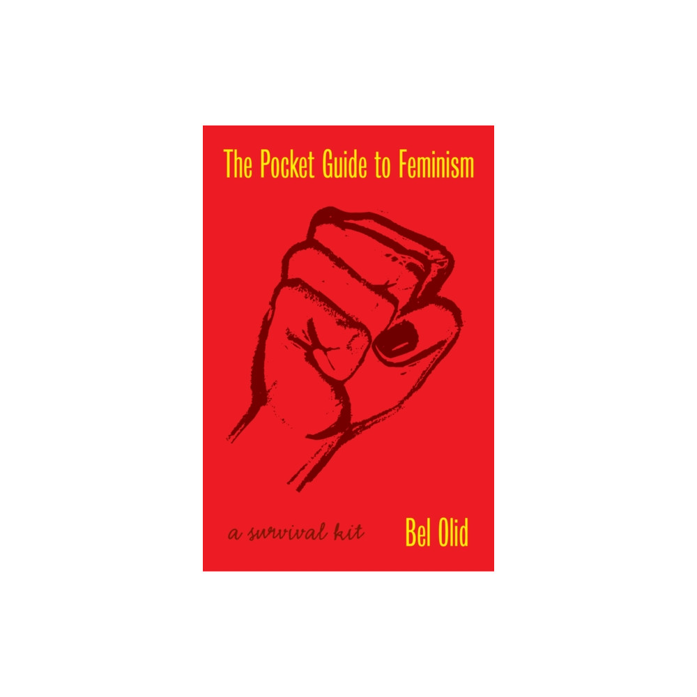 Produktbild för The Pocket Guide to Feminism (häftad, eng)