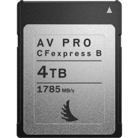 Produktbild för Angelbird AV PRO CFexpress MK2 Type B 4TB