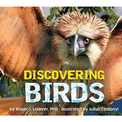 HarperCollins Focus Discovering Birds (inbunden, eng)