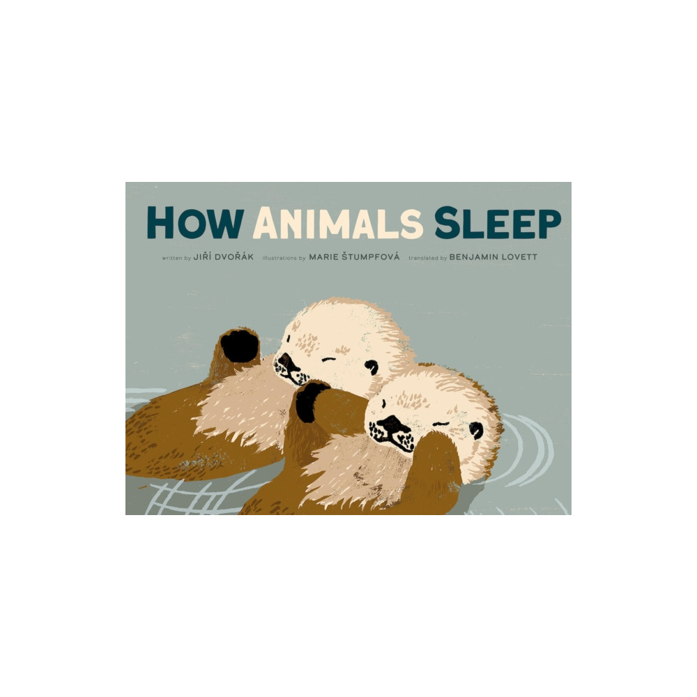 Produktbild för How Animals Sleep (inbunden, eng)