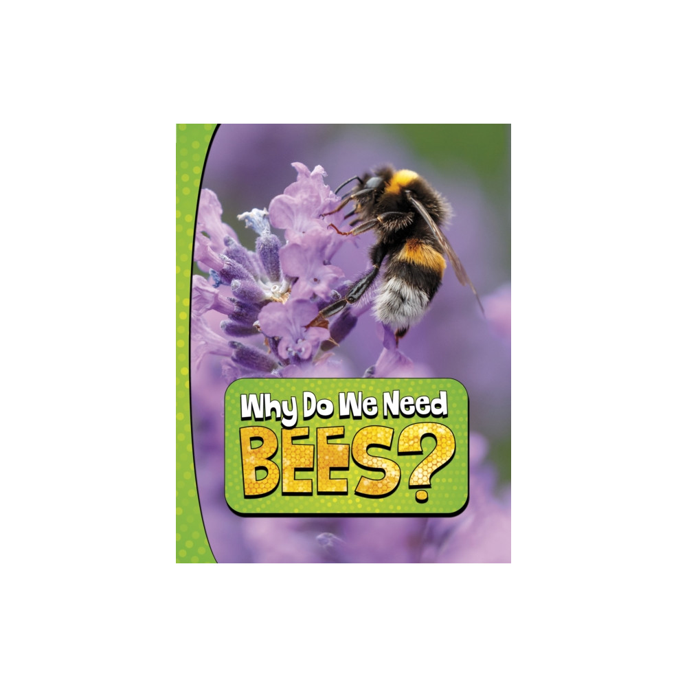 Produktbild för Why Do We Need Bees? (häftad, eng)