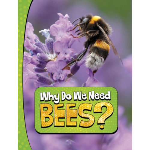 Capstone Global Library Ltd Why Do We Need Bees? (häftad, eng)