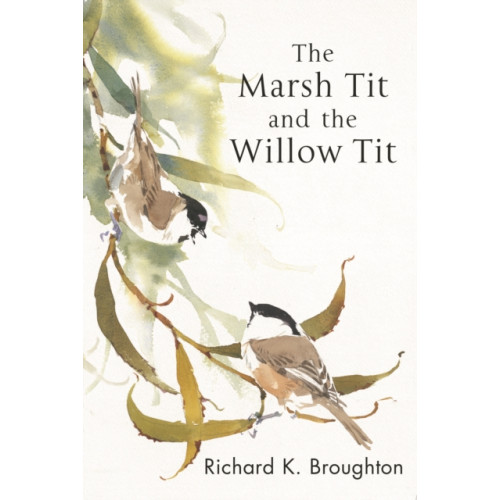 Bloomsbury Publishing PLC The Marsh Tit and The Willow Tit (häftad, eng)
