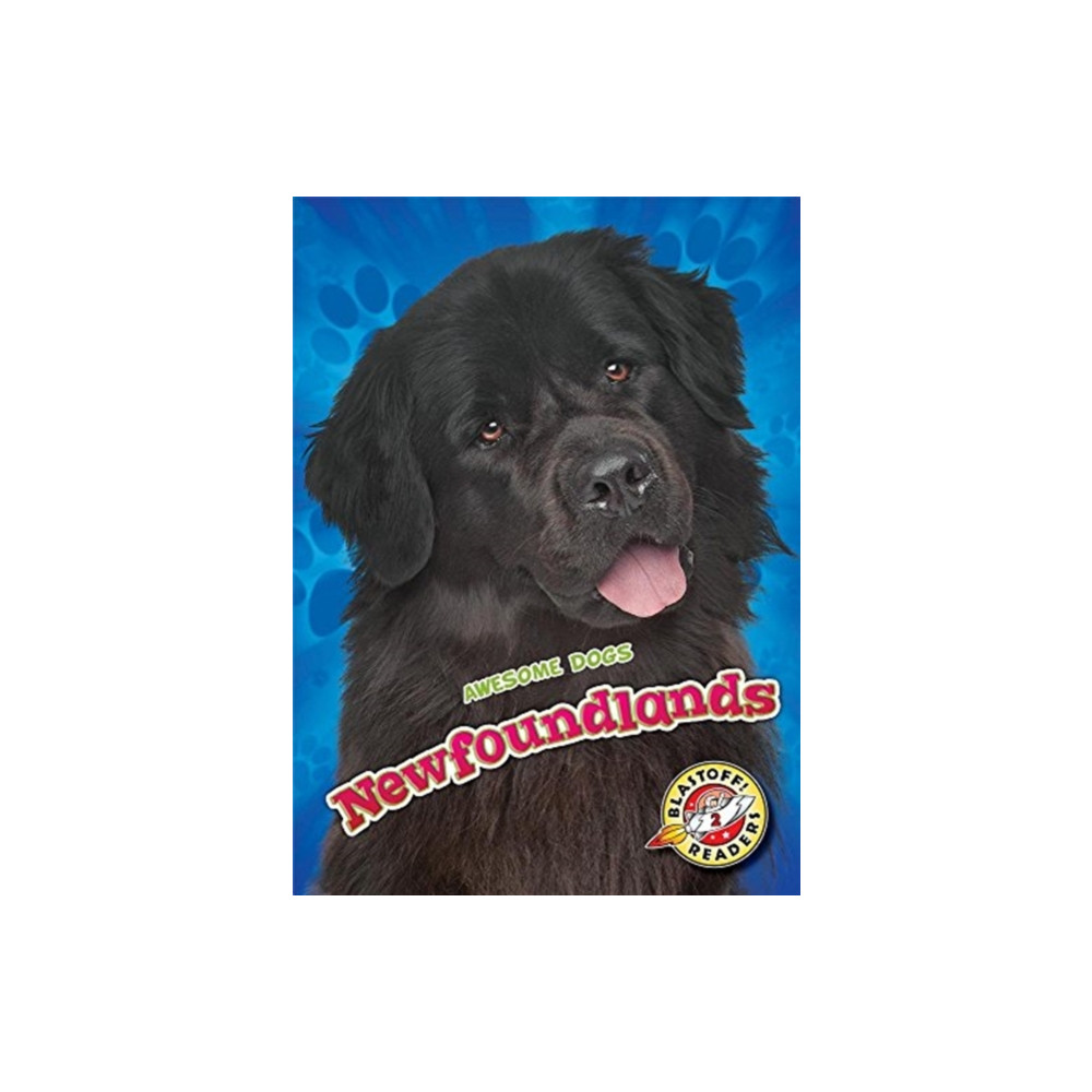 Produktbild för Newfoundlands (inbunden, eng)