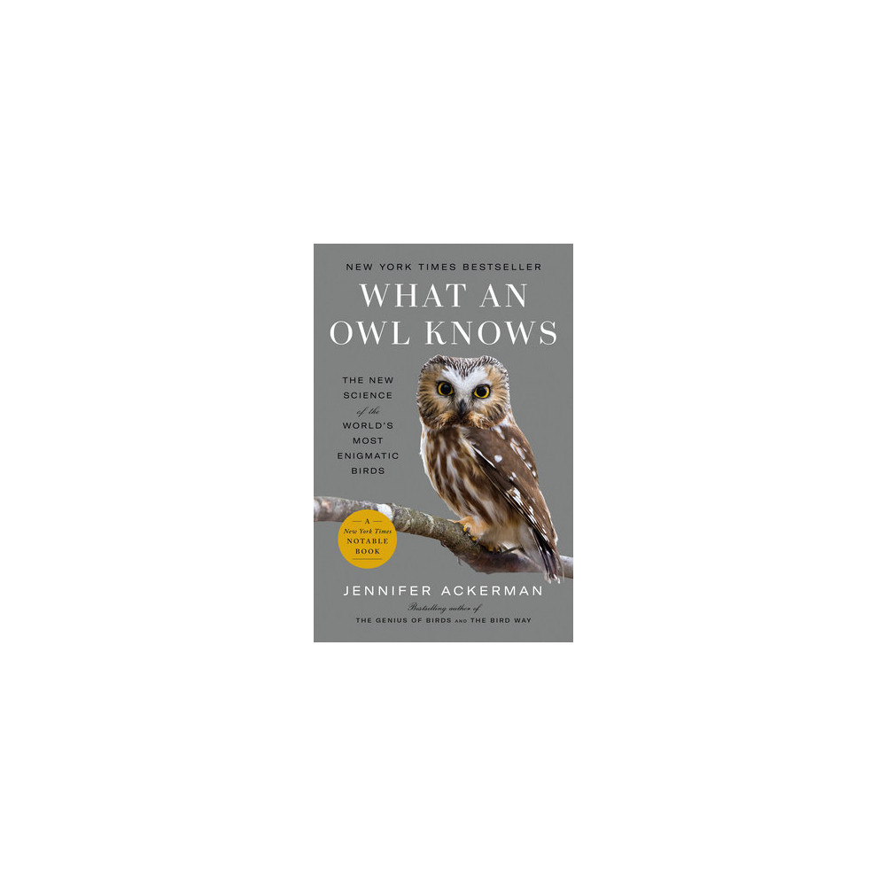 Produktbild för What an Owl Knows (pocket, eng)