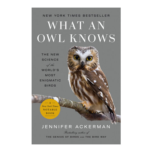 Jennifer Ackerman What an Owl Knows (pocket, eng)