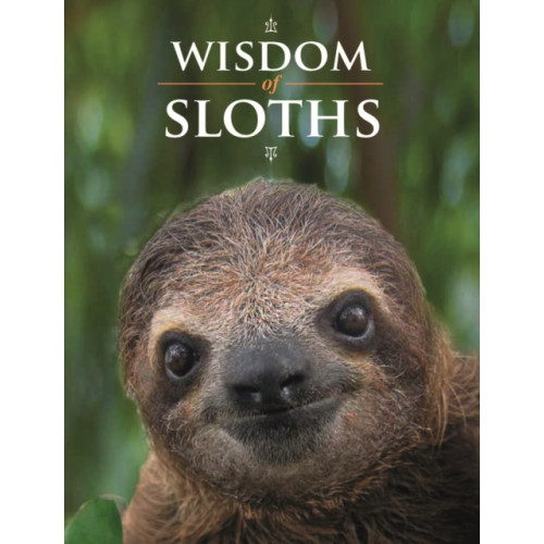 Firefly Books Ltd Wisdom of Sloths (inbunden, eng)