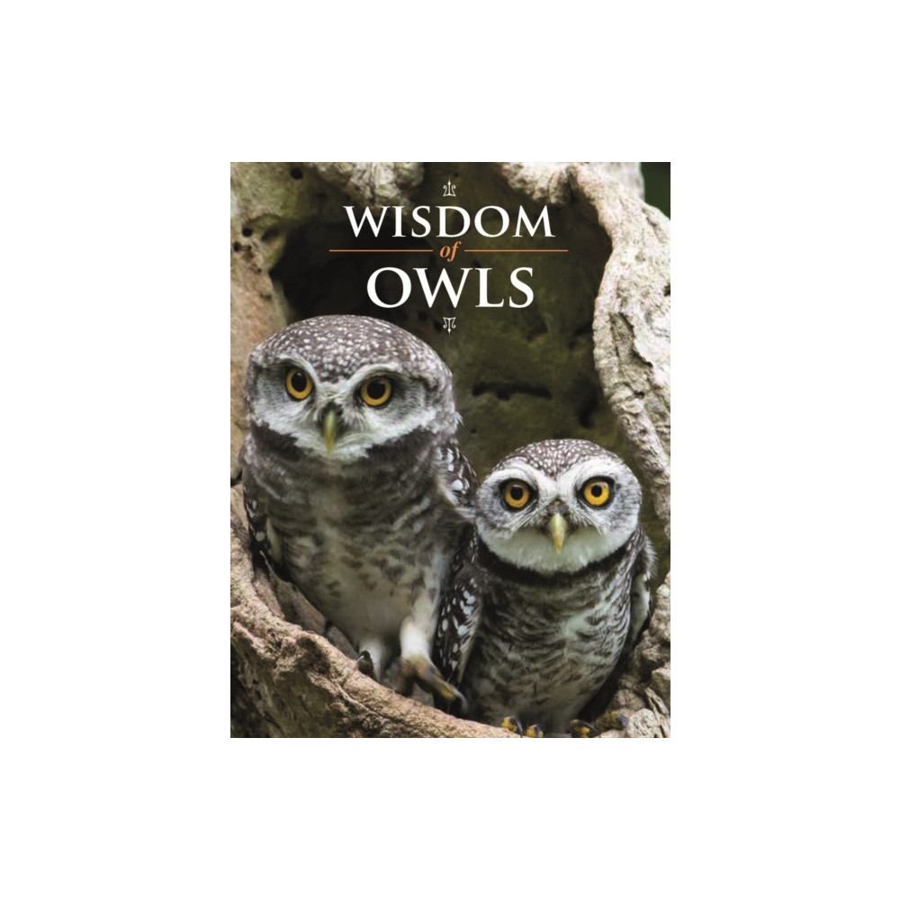 Produktbild för Wisdom of Owls (inbunden, eng)