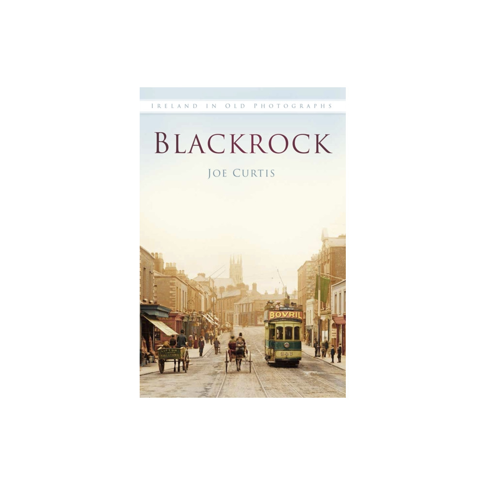Produktbild för Blackrock (häftad, eng)