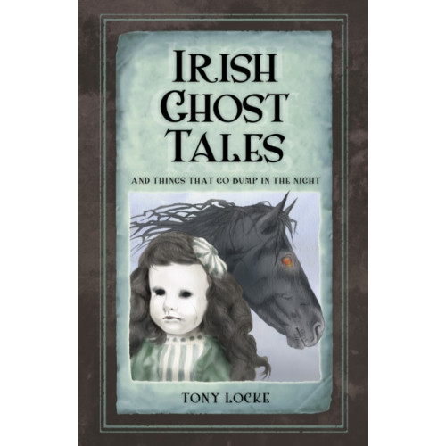 The History Press Ltd Irish Ghost Tales (häftad, eng)