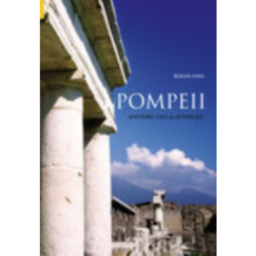 The History Press Ltd Pompeii (häftad, eng)
