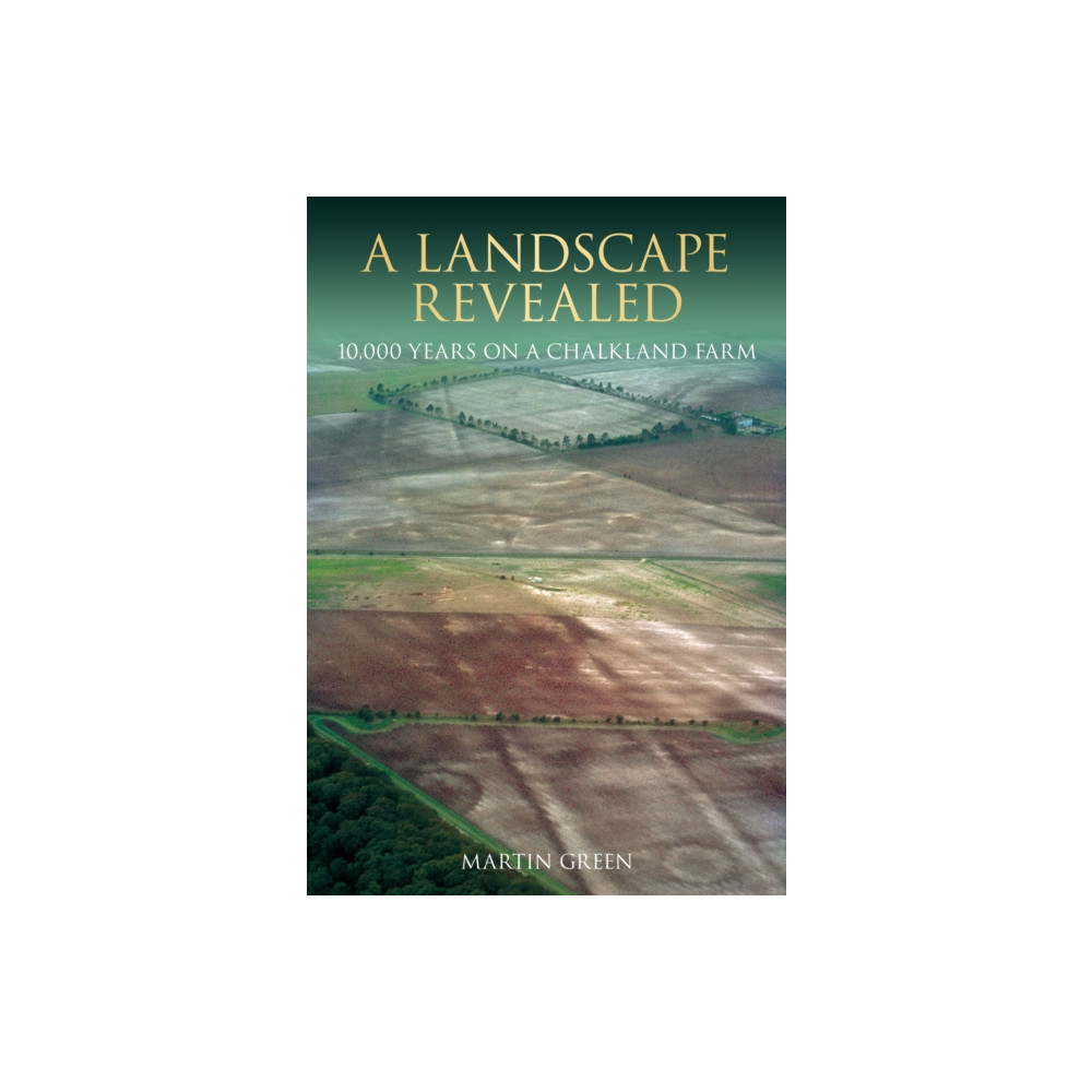 Produktbild för A Landscape Revealed (häftad, eng)