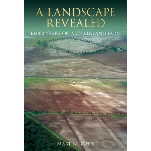 The History Press Ltd A Landscape Revealed (häftad, eng)