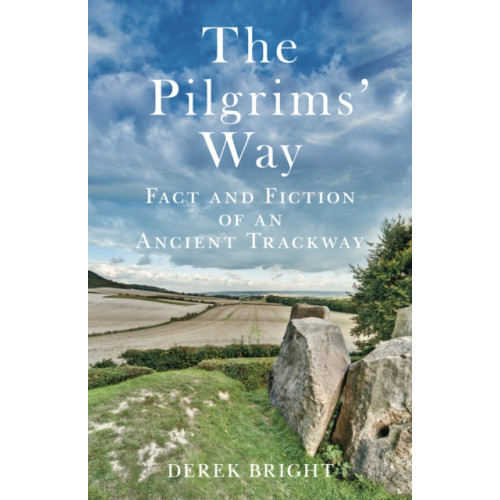 The History Press Ltd The Pilgrims' Way (häftad, eng)