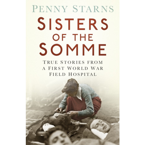 The History Press Ltd Sisters of the Somme (häftad, eng)