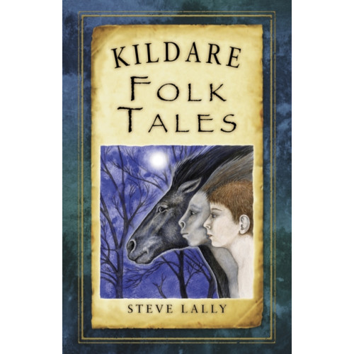 The History Press Ltd Kildare Folk Tales (häftad, eng)