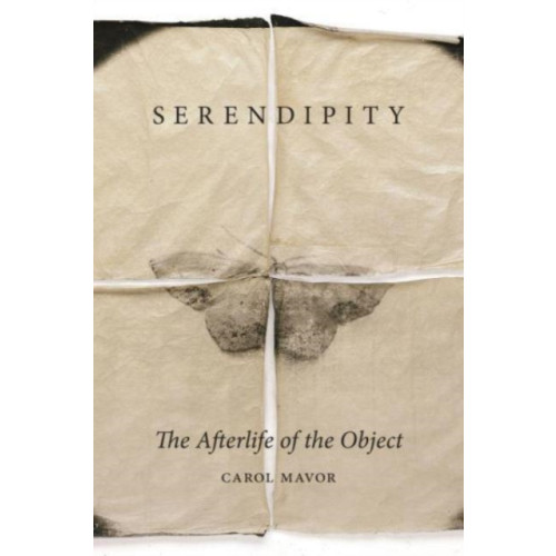 Reaktion Books Serendipity (inbunden, eng)