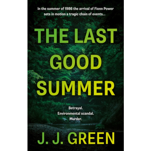 The Book Guild Ltd The Last Good Summer (häftad, eng)