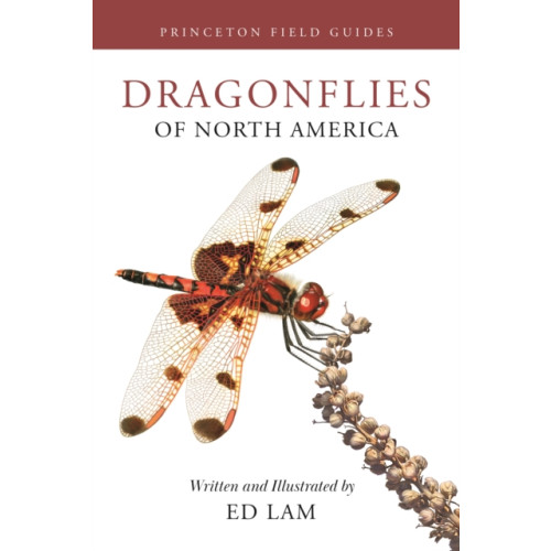 Princeton University Press Dragonflies of North America (häftad, eng)