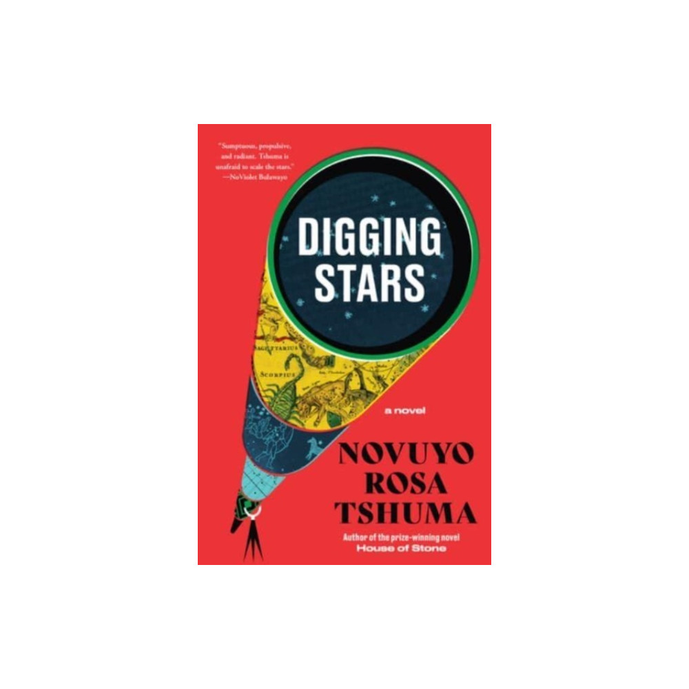 Produktbild för Digging Stars (häftad, eng)