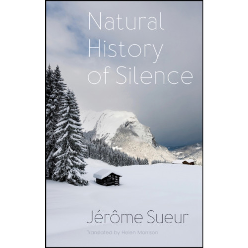 John Wiley And Sons Ltd Natural History of Silence (häftad, eng)