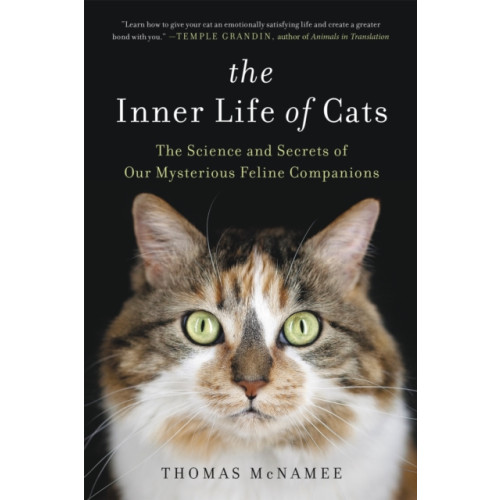 Little, Brown & Company The Inner Life of Cats (häftad, eng)