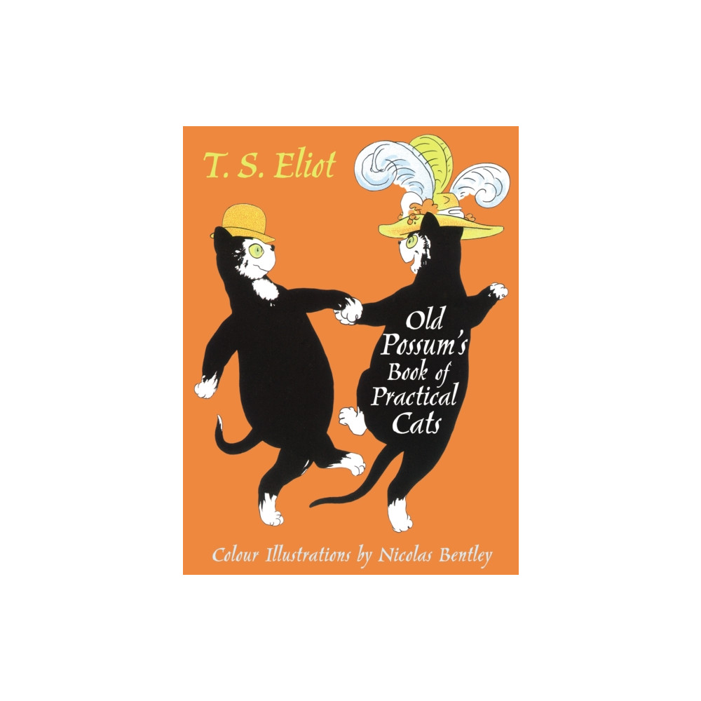 Produktbild för The Illustrated Old Possum (inbunden, eng)