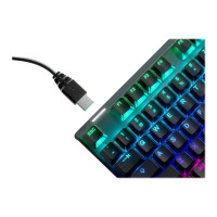 Produktbild för SteelSeries Apex Pro TKL - tangentbord - med OLED smart display - Nordisk Inmatningsenhet