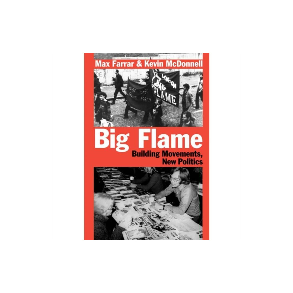 Produktbild för Big Flame (häftad, eng)