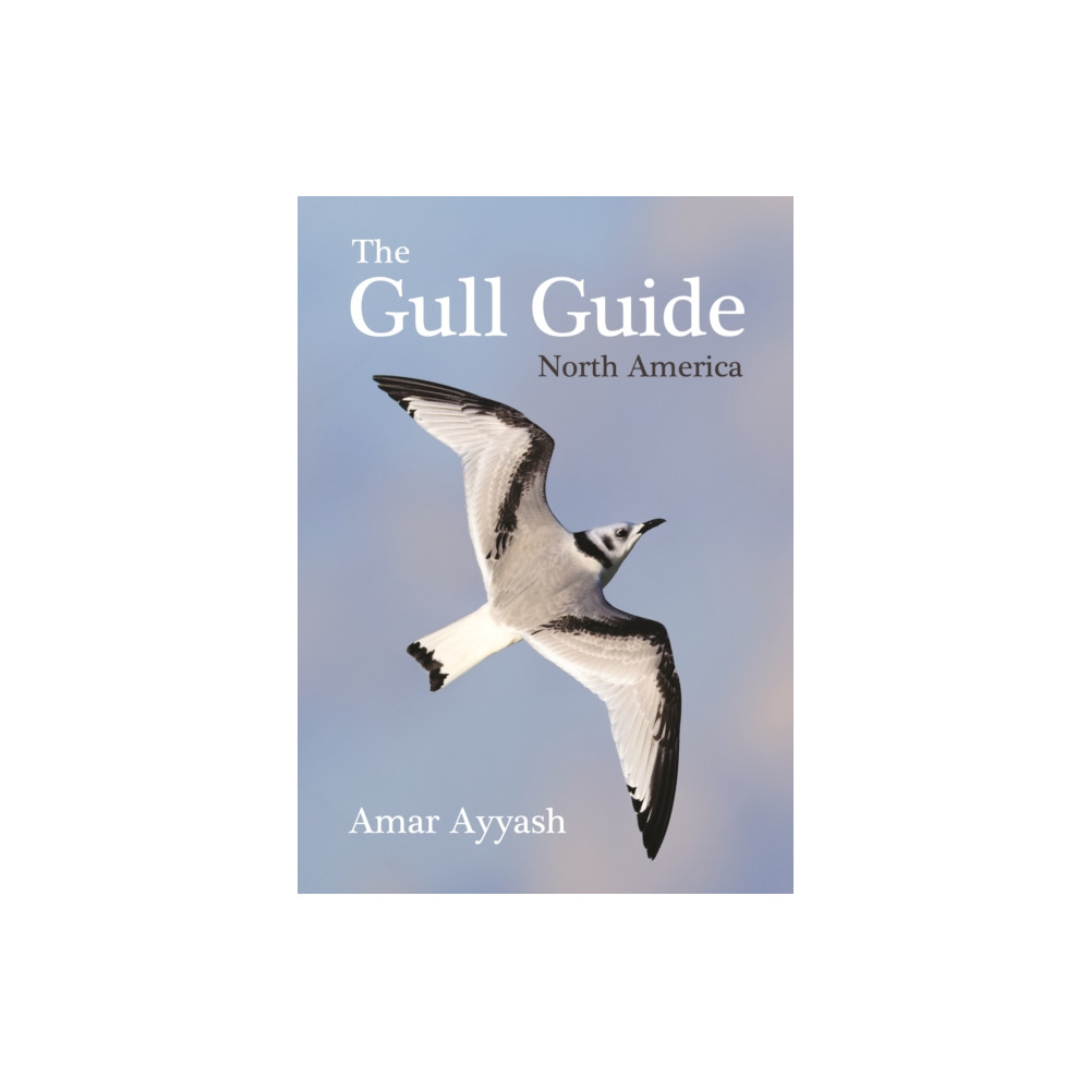 Produktbild för The Gull Guide (häftad, eng)