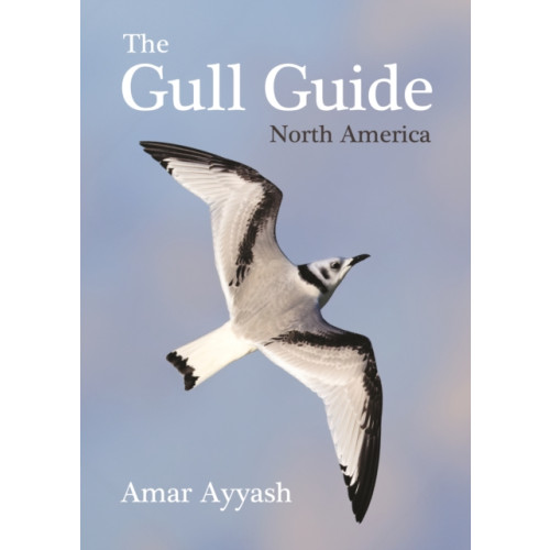 Princeton University Press The Gull Guide (häftad, eng)