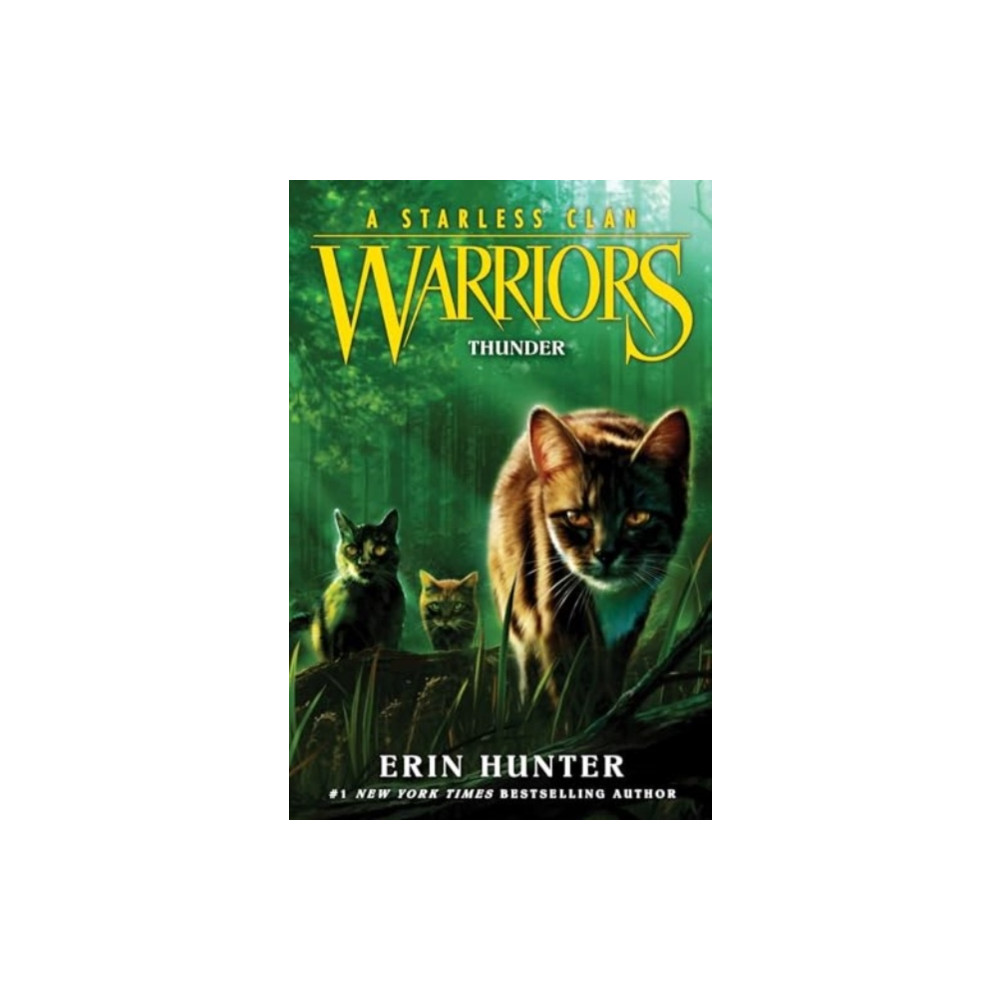 Produktbild för Warriors: A Starless Clan #4: Thunder (häftad, eng)
