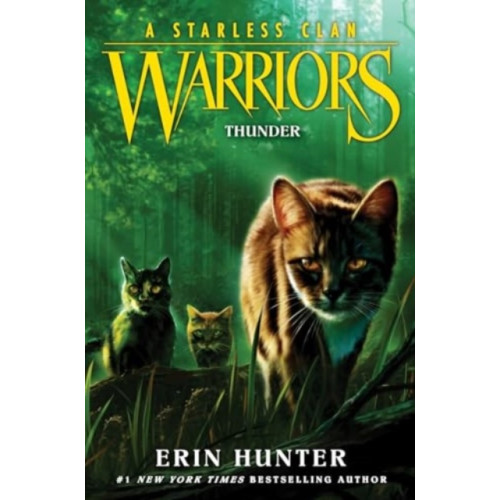 Harpercollins publishers inc Warriors: A Starless Clan #4: Thunder (häftad, eng)