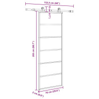 Produktbild för Skjutdörr med beslagset ESG glas och aluminium 76x205 cm