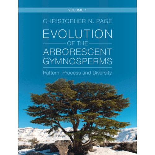 Cambridge University Press Evolution of the Arborescent Gymnosperms: Volume 1, Northern Hemisphere Focus (inbunden, eng)