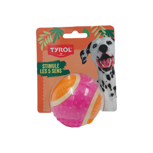 Tyrol Hundleksak Boll 5 Sensors Small Tyrol 6 cm