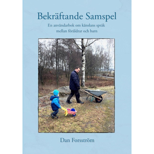 Dan Forsström Bekräftande Samspel (häftad)