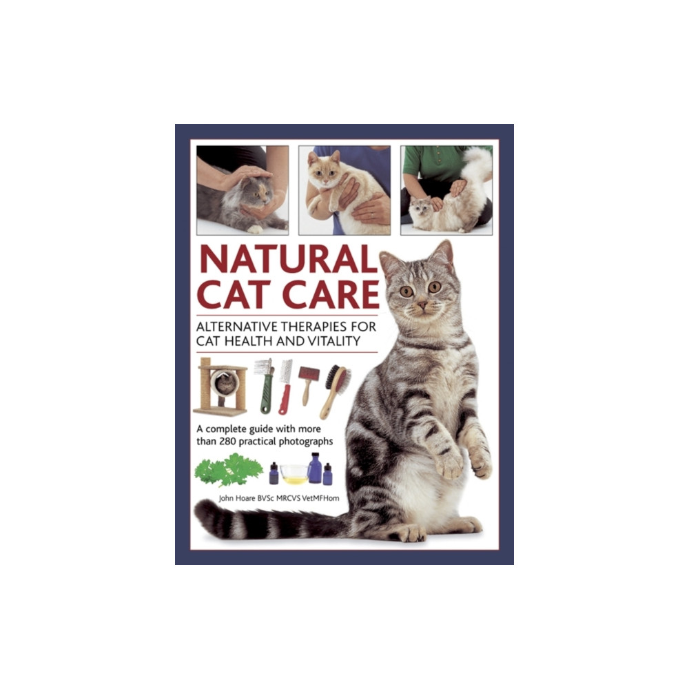Produktbild för Natural Cat Care (inbunden, eng)
