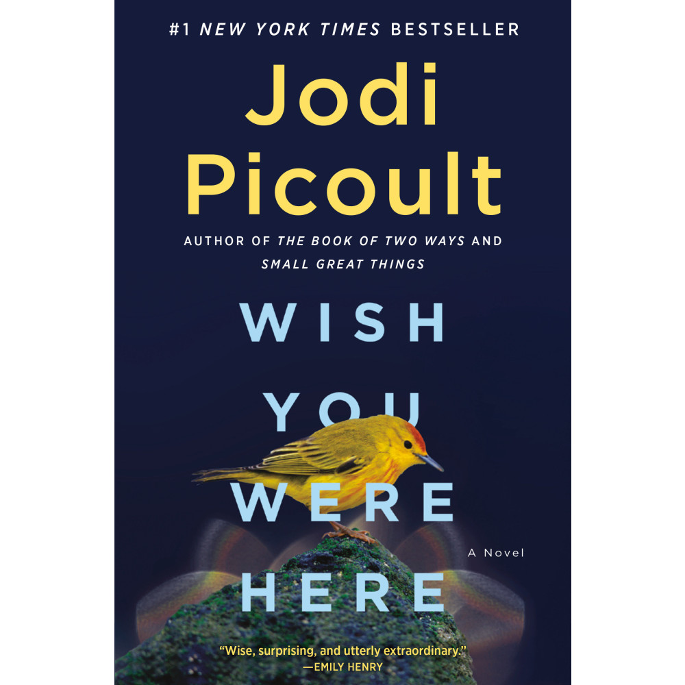 Produktbild för Wish You Were Here: A Novel (häftad, eng)